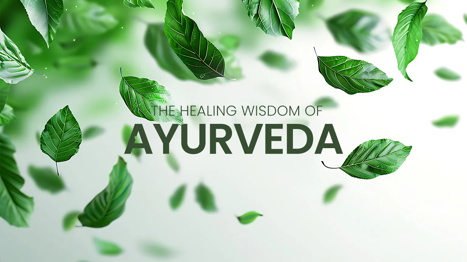 DR shibu — Timeless Healing – GDMR’s Alliance with Dr. Shibu Ayurveda